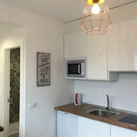 Atico. Centro. Penthouse Apartment Granada
